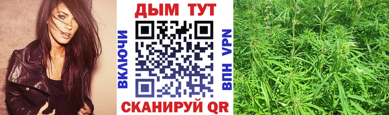 МАРИХУАНА гибрид  Асино 